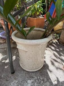 D5AC5D15-7D5A-48A3-BE8D-256133053638_1_105_c