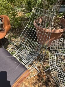 D5C5A3E3-24CC-496B-94DE-C4183C5EC5E4_1_105_c