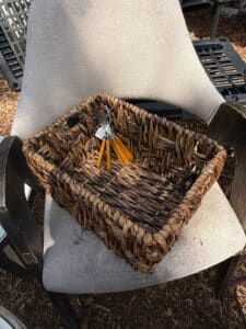 DF39F123-06E8-4647-AAC1-F99A6C959D4F_1_105_c