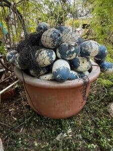 E25F7E13-A003-431C-8270-1E21666AA563_1_105_c