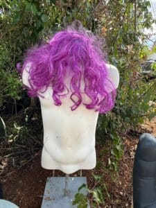 E64C99F3-F29E-48B0-901E-EA2631B8BA5F_1_105_c