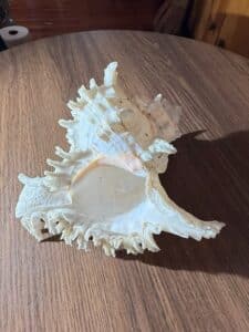 F091FBDB-64A7-4512-98FA-FE2DCDAC10D3_1_105_c