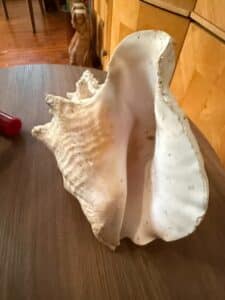 F19FA3D0-6319-41FE-87C9-E6735F2BD64F_1_105_c