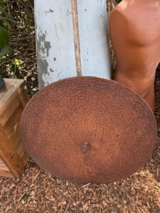 FA277D47-B3BB-4545-8810-8FC05A8FDCCE_1_105_c