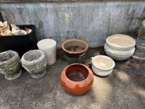 IMG_1164