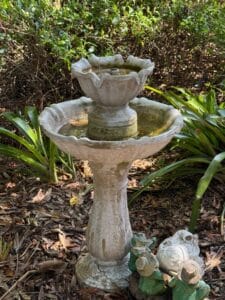 IMG_2363