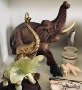 IMG_4081