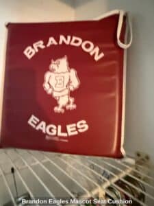 Brandon-Eagles-Mascot-Seat-Cushion-1