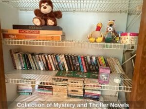 Collection-of-Mystery-and-Thriller-Novels-1