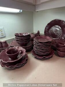 Metlox-Poppytrail-Lotus-Dinnerware-Set-1