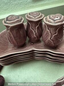 Metlox-Poppytrail-Lotus-Dinnerware-Set-fifth-image-1