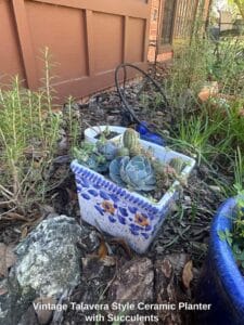 Vintage-Talavera-Style-Ceramic-Planter-with-Succulents