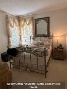 Wesley-Allen-Olympia-Metal-Canopy-Bed-Frame-1