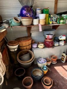 Assorted-Ceramic-and-Terracotta-Planters