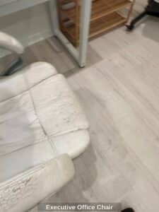 Executive-Office-Chair-third-image