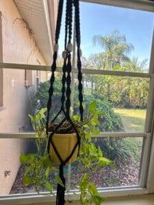 Macrame-Plant-Hanger-with-Yellow-Pot-and-Pothos-Plant
