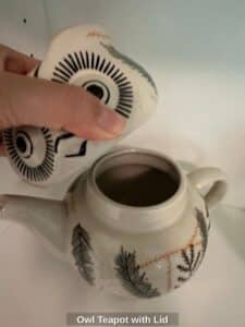 Owl-Teapot-with-Lid-third-image