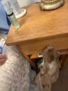 Traditional-Gold-Tone-Urn-Table-Lamp-with-Textured-Shade-third-image