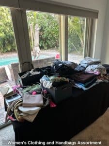 Womens-Clothing-and-Handbags-Assortment