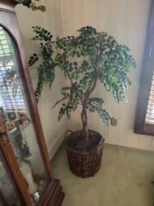 Artificial-Ficus-Tree-in-Wicker-Basket