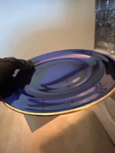 Cobalt-Blue-Dinner-Plates-with-Gold-Rim-by-Rosenthal-third-image