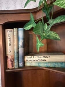 Collection-of-Vintage-Hardcover-Novels