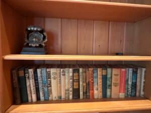 Collection-of-Vintage-Novels