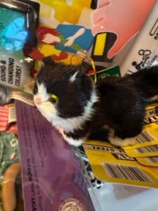 Five-Little-Monkeys-Finger-Puppet-Cat