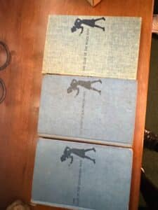 Nancy-Drew-Mystery-Books-The-Clue-of-the-Black-Keys-The-Ghost-of-Blackwood-Hall-The-Clue-in-the-Crumbling-Wall