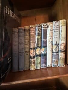 Nancy-Drew-Mystery-Stories-Books-Set