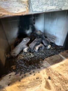 Peterson-Real-Fyre-Gas-Log-Set