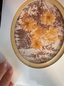 Vintage-Botanical-Oval-Prints-Set-of-