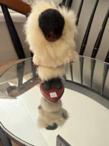 Vintage-Carlsan-Dolls-Inuit-Eskimo-Doll-with-Fur-Parka