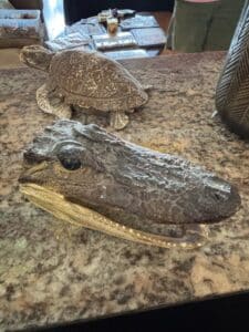 Alligator-Head-and-Turtle-Display-Set-1