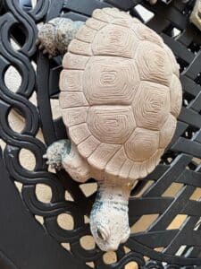 Cast-Stone-Tortoise-Garden-Statue-1