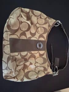 Coach-F-Signature-C-Hobo-Bag-1