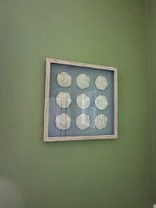 Framed-Coral-Specimen-Wall-Art-1