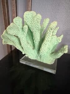 Green-Faux-Acropora-Coral-Specimen-on-Acrylic-Base-1