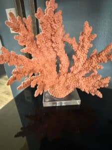 Pink-Coral-Branch-Sculpture-on-Lucite-Base-1