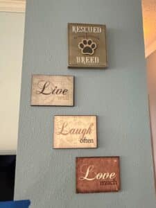 Set-of-Four-Inspirational-Dog-Themed-and-Motivational-Wall-Plaques-1