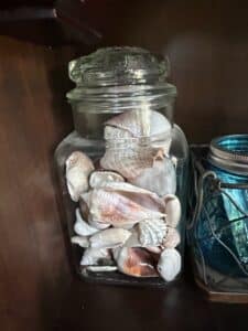 Vintage-Glass-Apothecary-Jar-with-Assorted-Seashells-Tiffin-or-LE-Smith