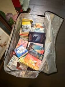 Assorted-Lot-of-Young-Adult-and-Childrens-Fiction-Books