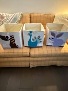 Sprouts-Storage-Bin-Set