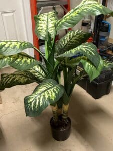 Artificial-Dieffenbachia-Tropic-Snow-Plant