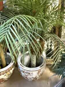 Artificial-Pygmy-Date-Palm-in-Chinoiserie-Planter