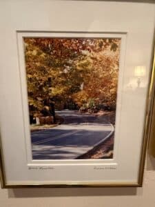 Beech-Mountain-by-Donna-Miller
