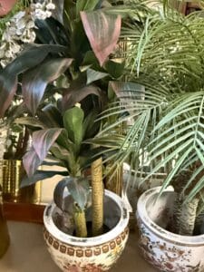 Pair-of-Cordyline-Fruticosa-Red-Sister-Plants-in-Chinese-Export-Style-Ceramic-Jardinieres