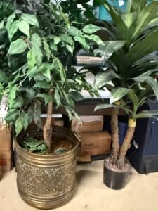 Vintage-Embossed-Brass-Planter-with-Artificial-Dracaena-Tree