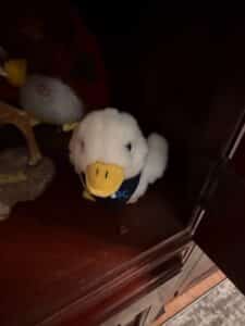 Aflac-Duck-Plush-Toy