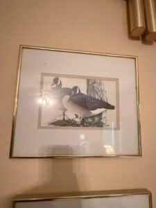 Canada-Geese-Wildlife-Print